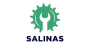 cropped-salinas.png